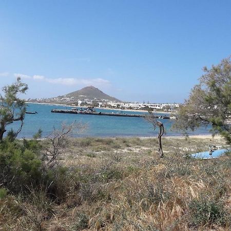 Chez Irene Sweet Pension Naxos City Exterior photo