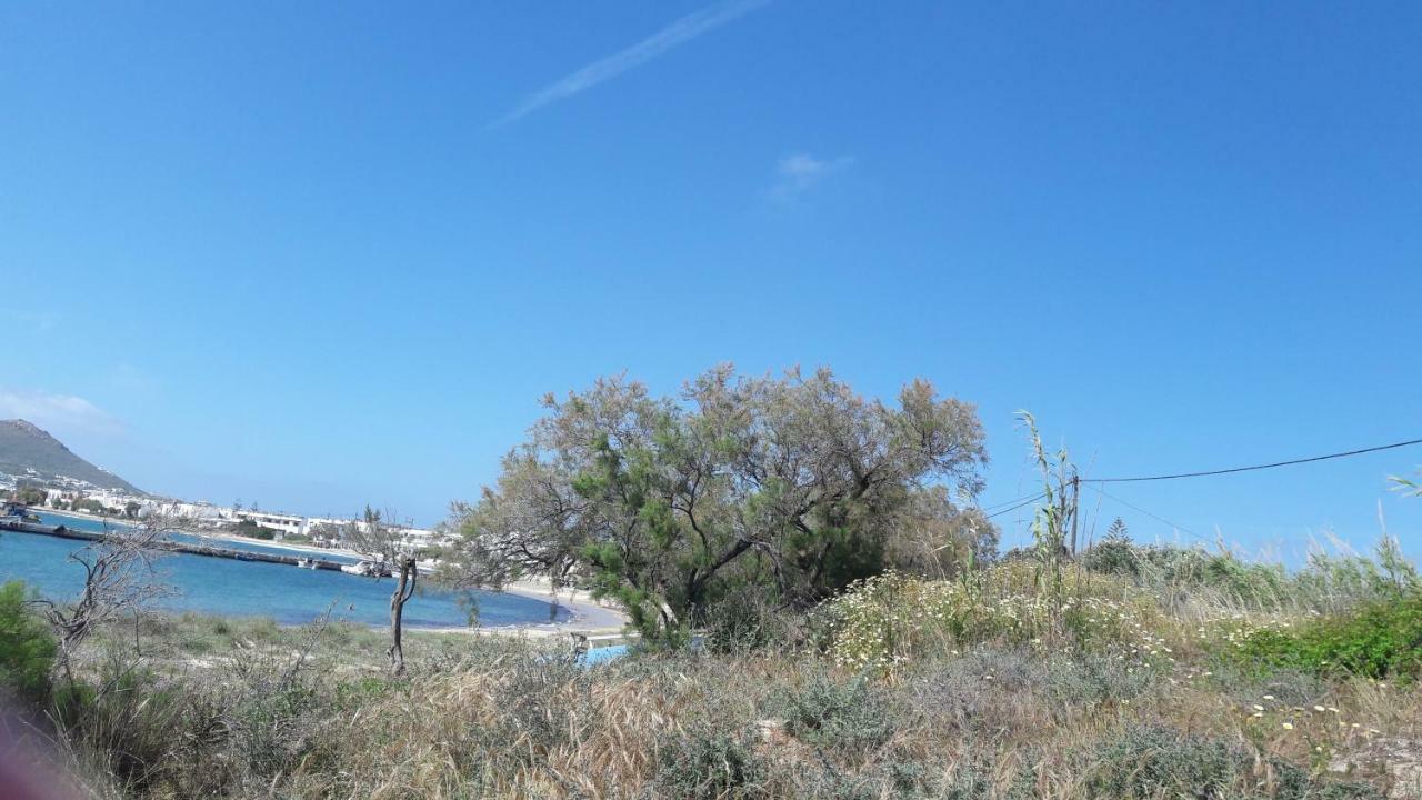 Chez Irene Sweet Pension Naxos City Exterior photo
